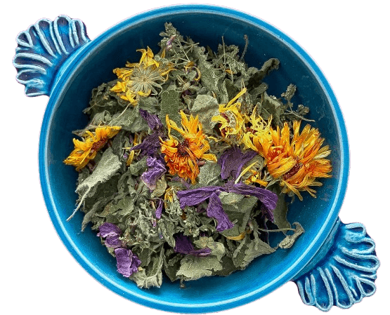 Poussières d'Etoiles